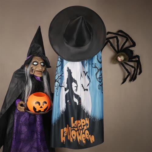 2 تیکه کلاه + شنل ابی گرگ halloween