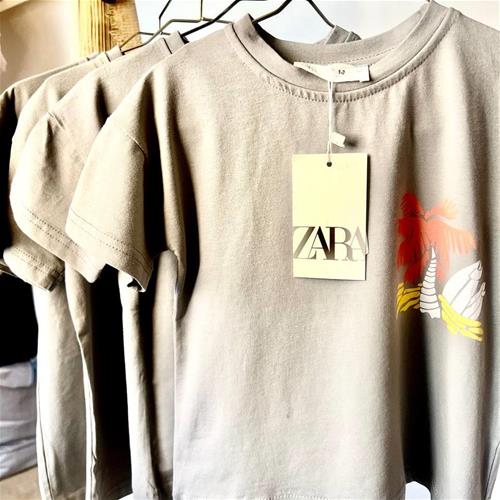 تیشرت نخی طرح نخل کد 22597